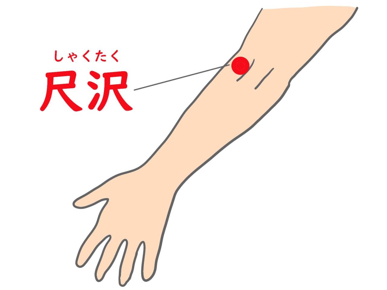 冬にむけて